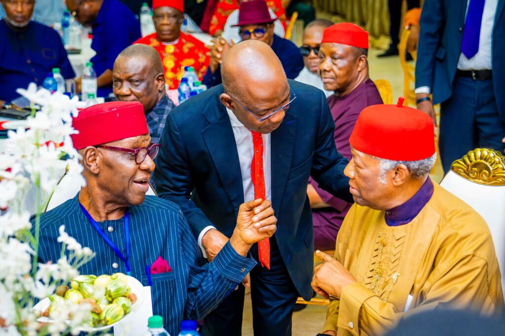 Day Abia government inaugurated Global Advisory Council